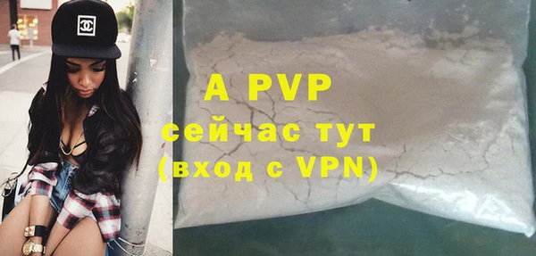 молекула духа Бородино