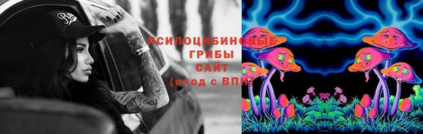 молекула духа Бородино