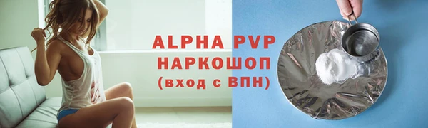 молекула духа Бородино