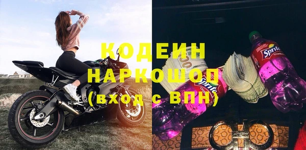 молекула духа Бородино