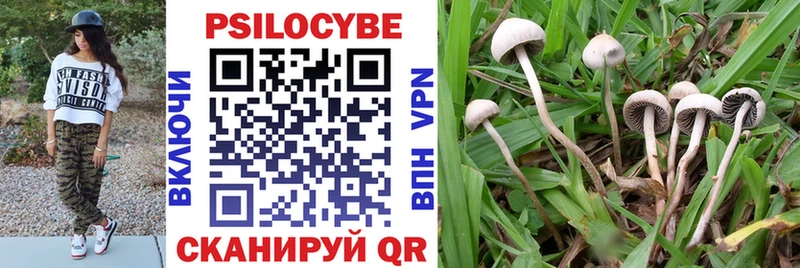 купить наркотик  Ковылкино  Галлюциногенные грибы MAGIC MUSHROOMS 